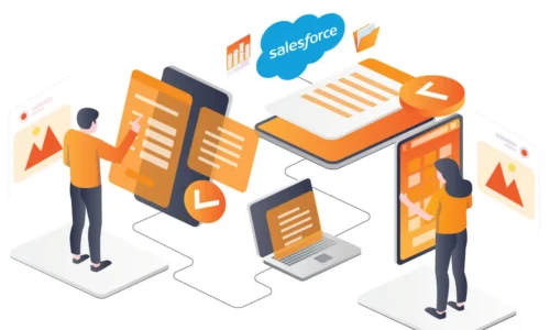 PG Diploma in Salesforce Developer Course